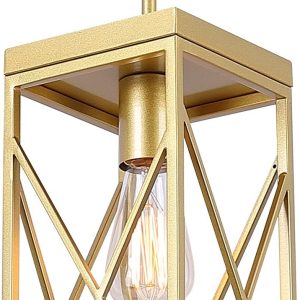 Fivess Lighting Modern Gold Pendant Light with Metal Cage, One-Light Adjustable Rods Mini Pendant Lighting Fixture for Kitchen Island Cafe Bar Farmhouse